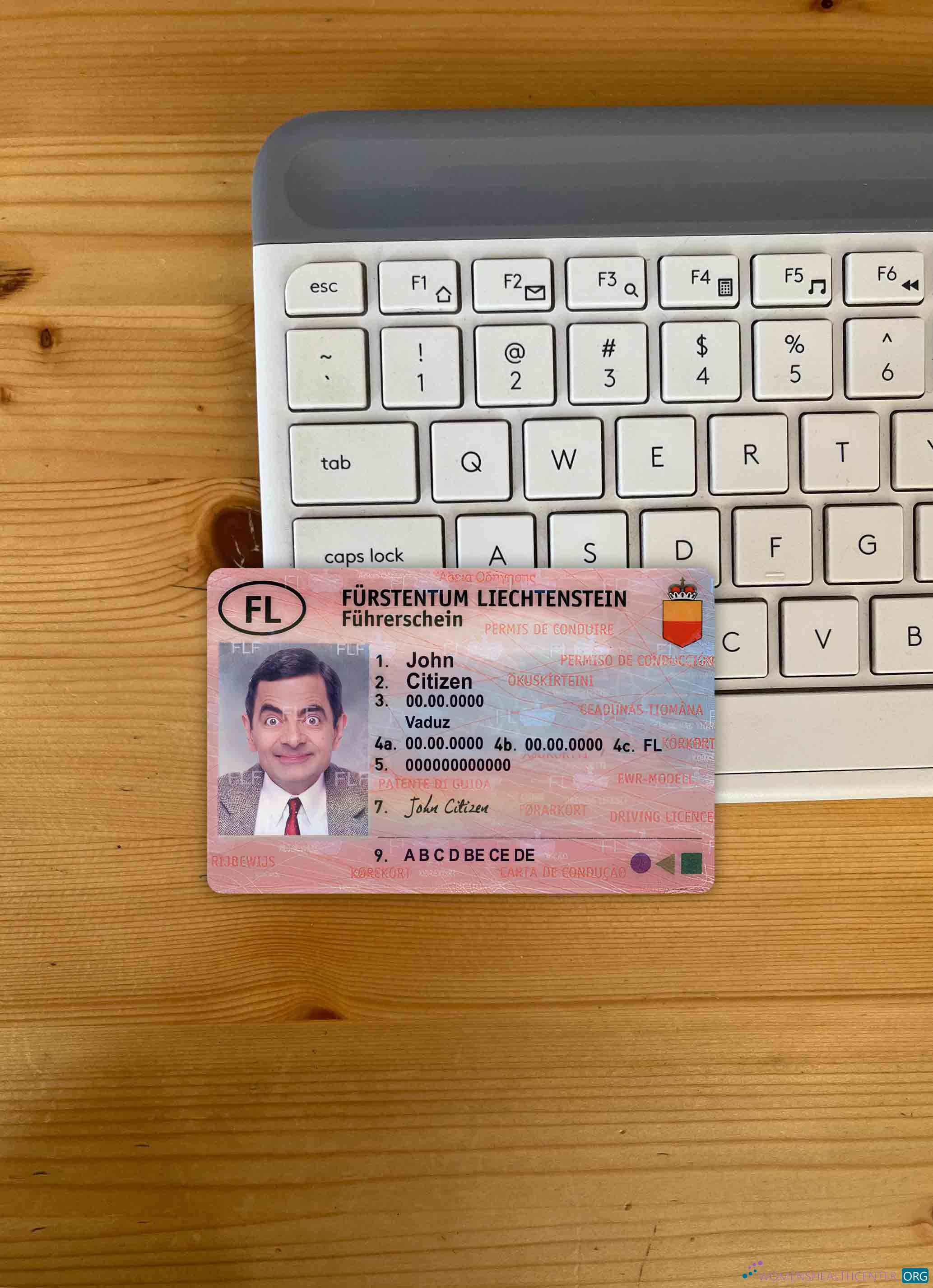 Download Liechtenstein driving license photolook FRONT Photoshop template